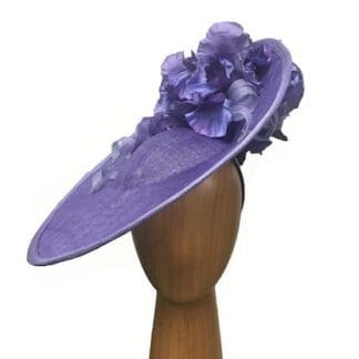 Purple fascinator iris flowers